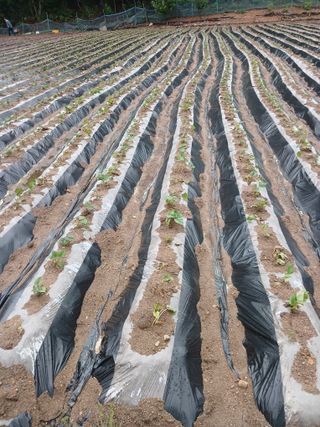 전국하님의 자유주제 · 자유게시판 작성글 사진