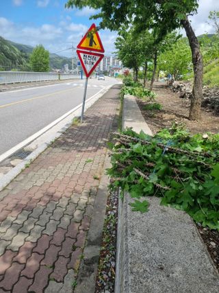 김용대님의 자유주제 · 자유게시판 작성글 사진