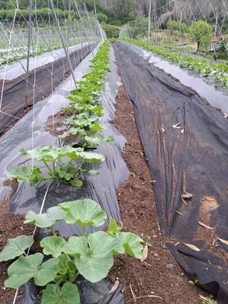 김형권님의 자유주제 · 자유게시판 작성글 사진