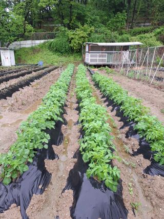 문영식님의 자유주제 · 자유게시판 작성글 사진