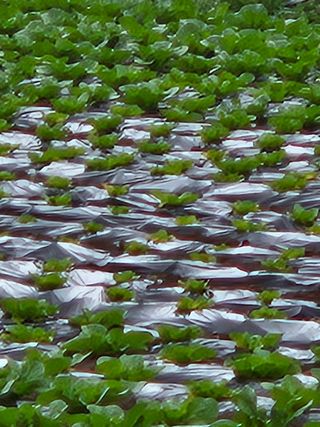 강윤호님의 자유주제 · 자유게시판 작성글 사진