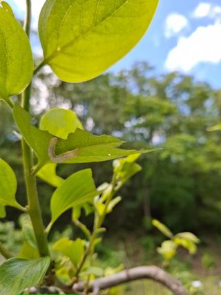 박정미님의 농사, 무엇이든 물어보세요! · 참여글 작성글 사진