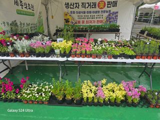 약초원 김종군님의 자유주제 · 자유게시판 작성글 사진