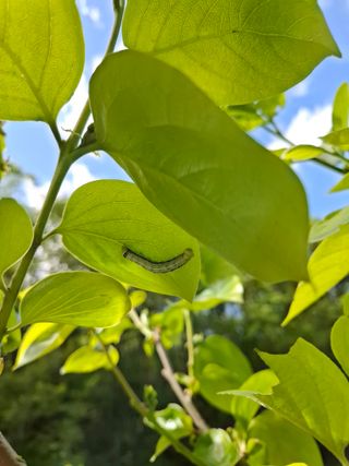 박정미님의 농사, 무엇이든 물어보세요! · 참여글 작성글 사진