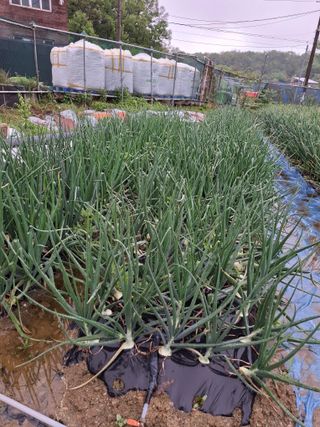 문영식님의 자유주제 · 자유게시판 작성글 사진