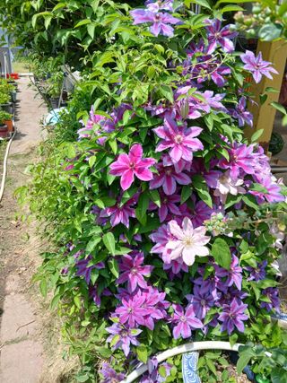 수선화30956님의 자유주제 · 자유게시판 작성글 사진