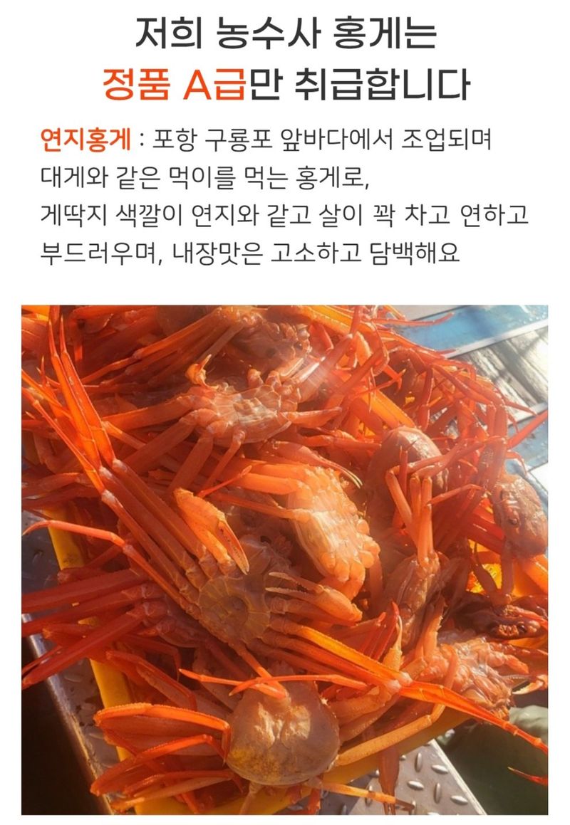 농수사님의 장터 판매 상품 [짜지않은 구룡포 연지홍게 A급 3kg] 첨부 사진