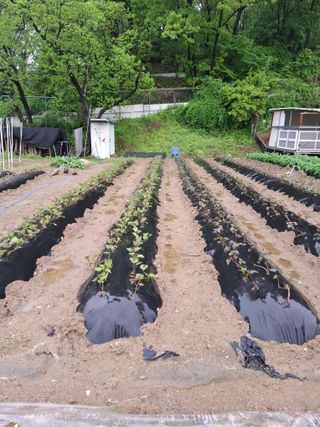 문영식님의 자유주제 · 자유게시판 작성글 사진