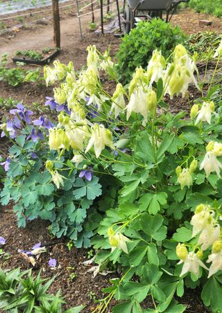 고추건조기부품판매님의 자유주제 · 자유게시판 작성글 사진