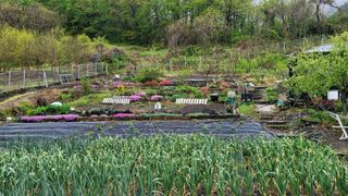 남정희 님의 자유주제 · 자유게시판 작성글 사진