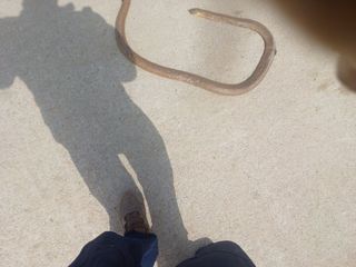 이정민님의 자유주제 · 사진전 작성글 사진