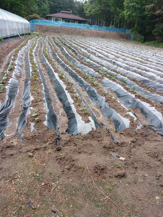 전국하님의 자유주제 · 자유게시판 작성글 사진