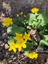 팜모닝 농사, 무엇이든 물어보세요!·참여글 게시글 이미지