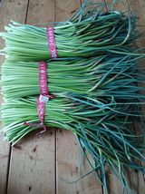 팜모닝 · 게시글 이미지