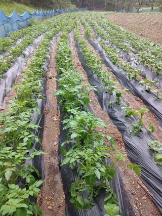 전국하님의 자유주제 · 자유게시판 작성글 사진