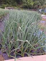 팜모닝 자유주제·자유게시판 게시글 이미지