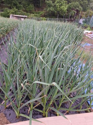 문영식님의 자유주제 · 자유게시판 작성글 사진