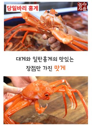 농수사님의 작성글 사진