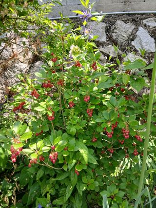 수선화30956님의 자유주제 · 자유게시판 작성글 사진
