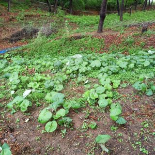 이장우님의 자유주제 · 자유게시판 작성글 사진