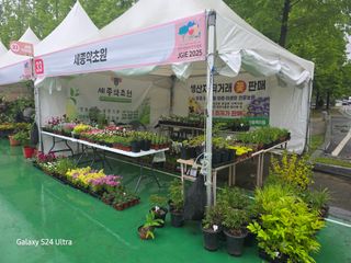 약초원 김종군님의 자유주제 · 자유게시판 작성글 사진