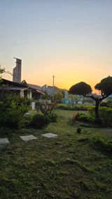 팜모닝 자유주제·자유게시판 게시글 이미지