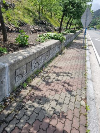 김용대님의 자유주제 · 자유게시판 작성글 사진