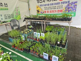 약초원 김종군님의 자유주제 · 자유게시판 작성글 사진