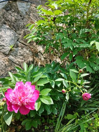 수선화30956님의 자유주제 · 자유게시판 작성글 사진