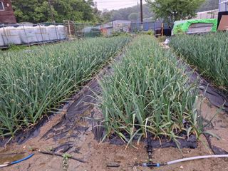 문영식님의 자유주제 · 자유게시판 작성글 사진