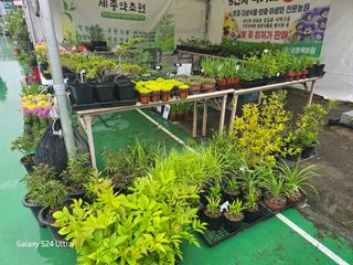 약초원 김종군님의 자유주제 · 자유게시판 작성글 사진