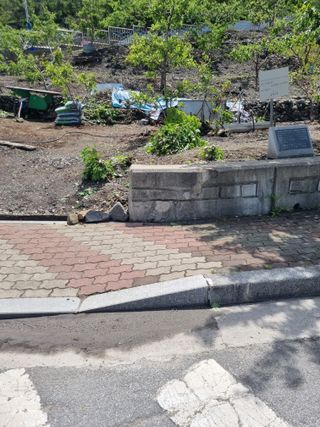 김용대님의 자유주제 · 자유게시판 작성글 사진