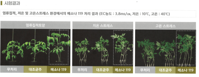 남흥원예사님의 장터 판매 상품 [메소나 1L 랜드콘 2L 미생물 관주 뿌리 발근제 활착 흡비력 증진] 첨부 사진
