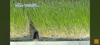 감15576님의 자유주제 · 자유게시판 작성글 사진