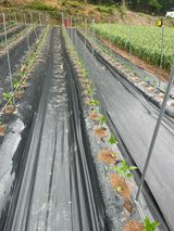 팜모닝 자유주제·자유게시판 게시글 이미지