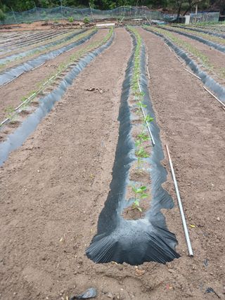 전국하님의 자유주제 · 자유게시판 작성글 사진