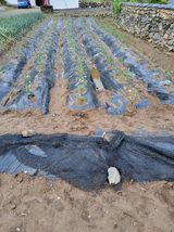 팜모닝 자유주제·자유게시판 게시글 이미지