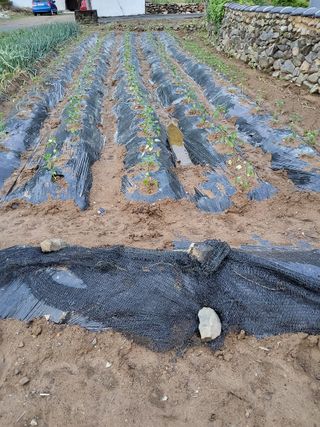 마늘님의 자유주제 · 자유게시판 작성글 사진