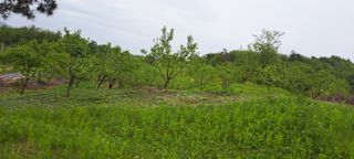 백동감님의 자유주제 · 건의해요 작성글 사진