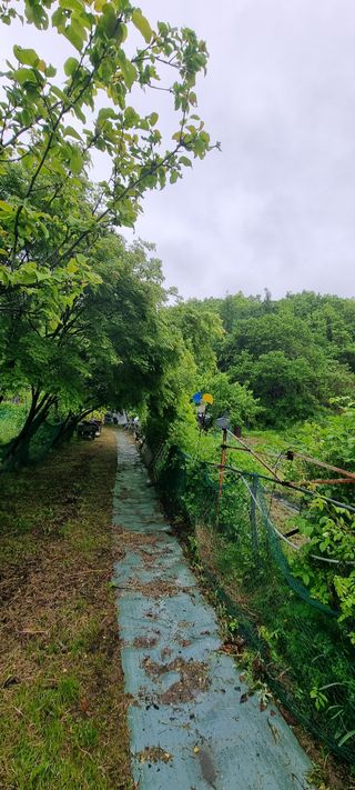 달방구님의 자유주제 · 자유게시판 작성글 사진