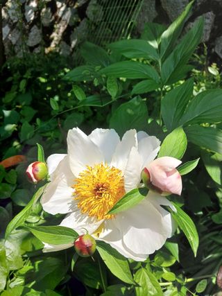 수선화30956님의 자유주제 · 자유게시판 작성글 사진