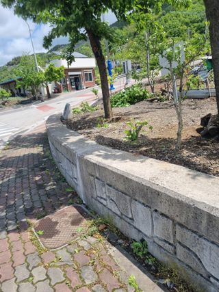 김용대님의 자유주제 · 자유게시판 작성글 사진