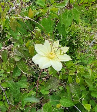 고추건조기부품판매님의 자유주제 · 자유게시판 작성글 사진