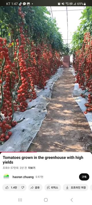 감15576님의 자유주제 · 자유게시판 작성글 사진