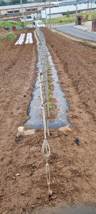 오리와백조님의 자유주제 · 자유게시판 작성글 사진