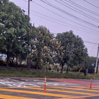 MSG0074님의 자유주제 · 자유게시판 작성글 사진