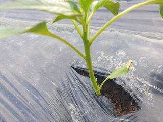 겨울연가님의 자유주제 · 자유게시판 작성글 사진