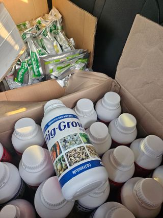 대산농사대장님의 마늘 · 비료•농약 작성글 사진