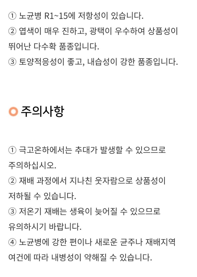 대산농사대장님의 장터 판매 상품 [블랙다이아 500g 시금치 다수확 노균병 저항성 우수] 첨부 사진