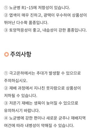 대산농사대장님의 작성글 사진